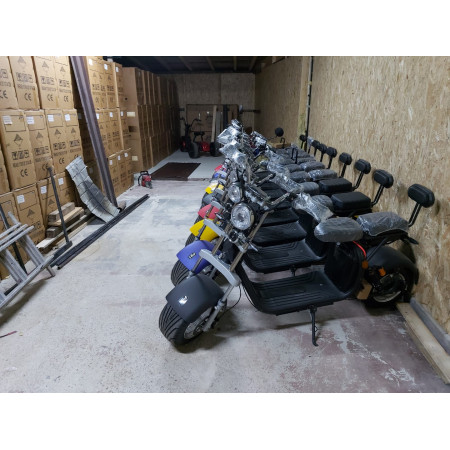 SCUTER ELECTRIC MOTOR 1500W ACUMULATOR 20AH DETASABILA SI 12AH AMPLASAMENT PODEA 2 LOCURI ALBASTRU