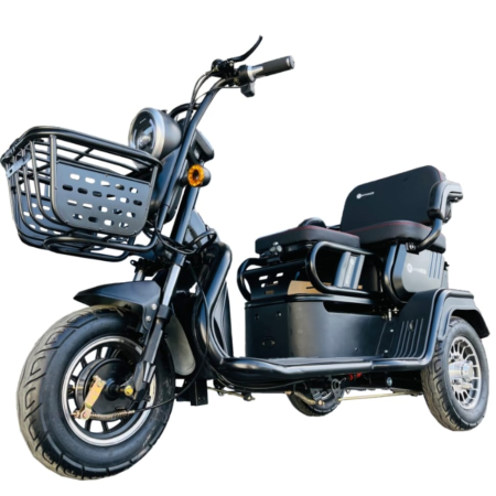 Tricicleta Electrica ETR4